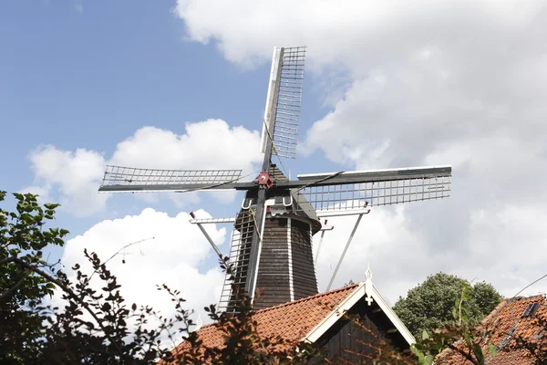 Windmolen — Stockfoto