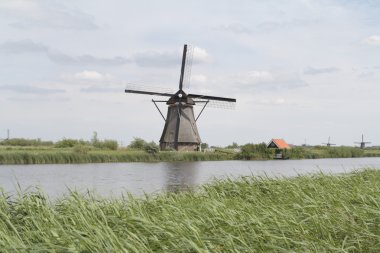 değirmen karmaşık doğal, Hollanda