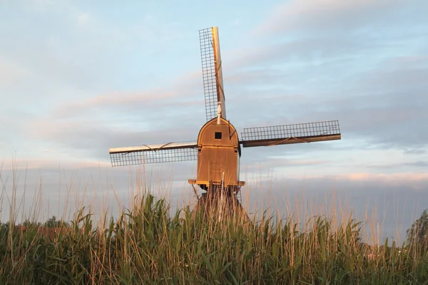 Complejo de molinos en Kinderdijk, Países Bajos — Foto de Stock