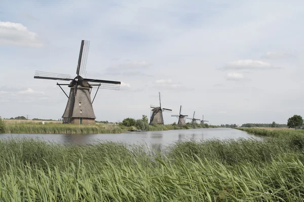 磨房风车村，荷兰在复杂 — 图库照片