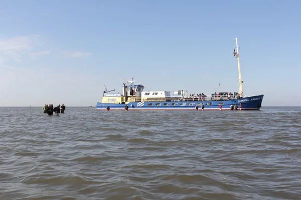 Les gens sortent du bateau et marchent dans l'eau vers l'île de Wadden Griend, Pays-Bas — Photo