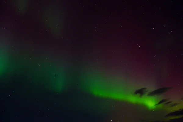 Noorderlicht in IJsland Stockfoto