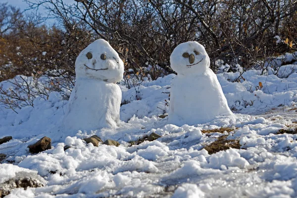Snowmen in Skaftafell National Park in southern Iceland — Stock Photo, Image