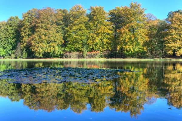 Vijver met herfst bomen op de veluwe in st. hubertus jacht lodge, Nederland — Stockfoto