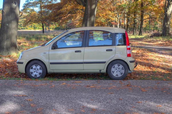 Panda op de veluwe, Nederland Stockafbeelding