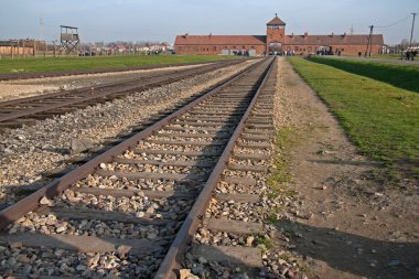Auschwitz, Polonya - 5 Kasım 2008: rezil kapısı ve auschwitz-birkenau için önde gelen demiryolu