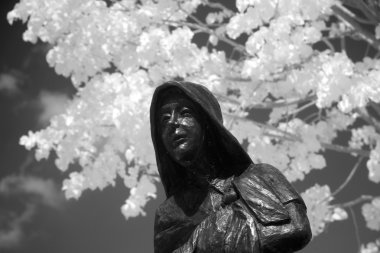 Mage rahip set kızılötesi ışık, Hollanda