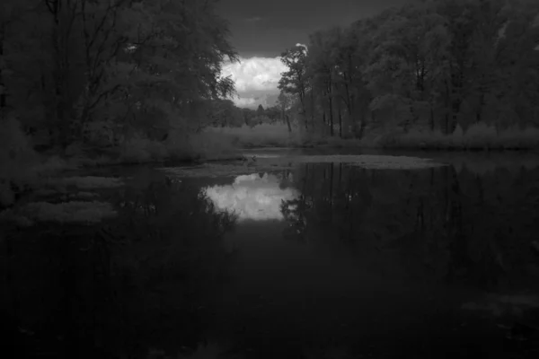 Pond, Paesi Bassi — Foto Stock