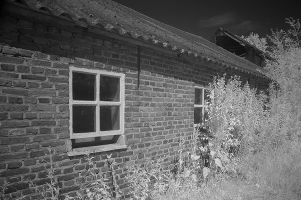 Baufällige Scheune in Hollandscheveld, Niederlande — Stockfoto