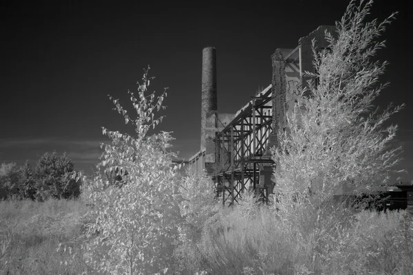 Old decayed plant in Coevorden, Netherlands — Stock Photo, Image