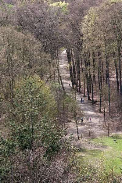 Belvedere, Hollanda Arnhem Sonsbeek bakmak — Stok fotoğraf