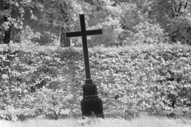 Mezarlıkta kızılötesi ışıkta siyah ve beyaz: hoogeveen, Hollanda