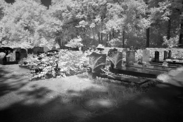 Kirkegård i svart-hvitt infrarødt lys i Hoogeveen, Nederland – stockfoto