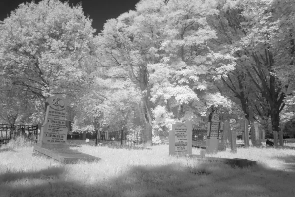 Friedhof in schwarz-weiß Infrarotlicht in Hoogeveen, Niederlande — Stockfoto