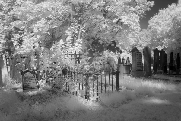 Cementerio de luz infrarroja en blanco y negro en Hoogeveen, Países Bajos — Foto de Stock