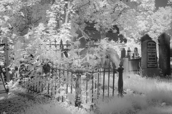 Cementerio de luz infrarroja en blanco y negro en Hoogeveen, Países Bajos — Foto de Stock