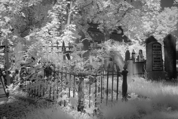 Cemetery in black and white infrared light in Hoogeveen, Netherlands — Stock Photo, Image