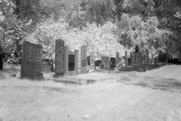 Friedhof in schwarz-weiß Infrarotlicht in Hoogeveen, Niederlande — Stockfoto