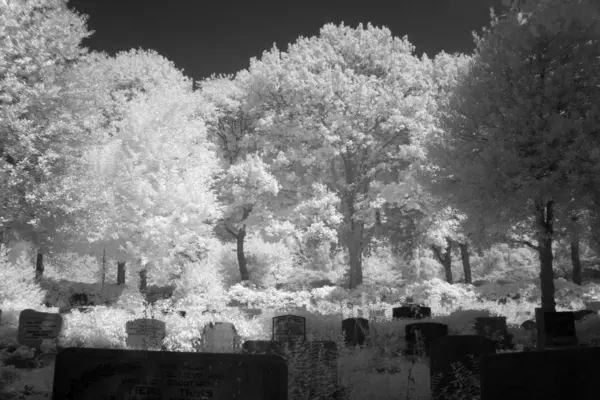Friedhof in schwarz-weiß Infrarotlicht in Hoogeveen, Niederlande — Stockfoto