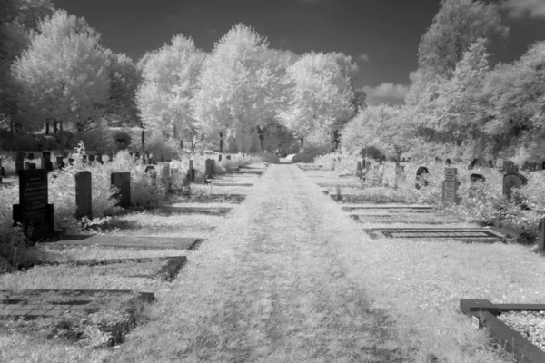 Cemetery in black and white infrared light in Hoogeveen, Netherlands — Stock Photo, Image