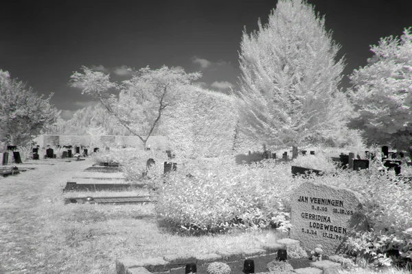 Friedhof in schwarz-weiß Infrarotlicht in Hoogeveen, Niederlande — Stockfoto