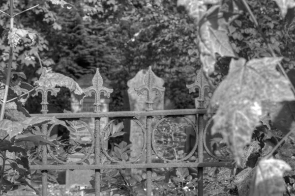 Friedhof in Hoogeveen, Niederlande — Stockfoto