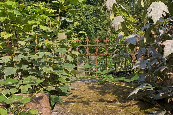 Kyrkogården i hoogeveen, Nederländerna — Stockfoto