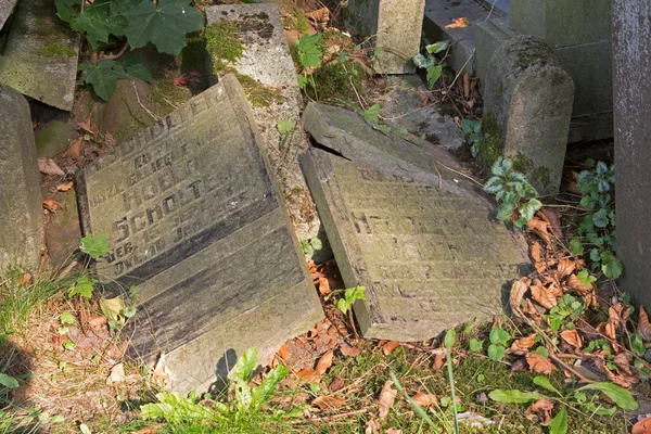 Cmentarz w hoogeveen, Holandia — Zdjęcie stockowe