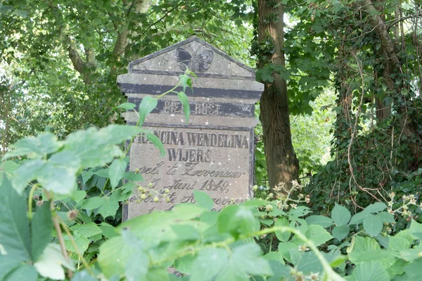 Cemetery in Hoogeveen, Netherlands — Stock Photo, Image