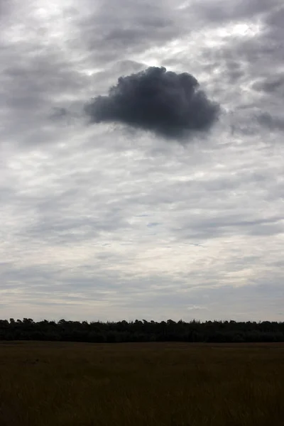 Niebo Nad Parkiem Narodowym Hoge Veluwe Holandia — Zdjęcie stockowe