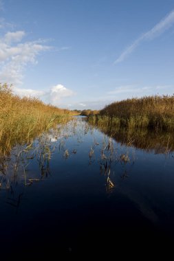 Hollanda, Schiermonnikoog 'da Kobbeduinen' de su göleti