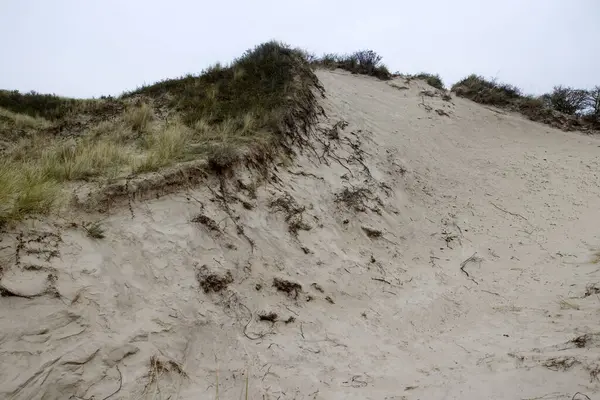 Duża Wydma Schiermonnikoog Holandia — Zdjęcie stockowe