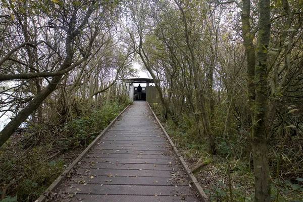 Schiermonnikoog Nederland Oktober 2021 Vogelschuilplaats Schiermonnikoog Bij Zonsopgang Nederland — Stockfoto