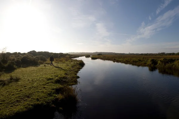 Schiermonnikoog Hollanda Ekim 2021 — Stok fotoğraf