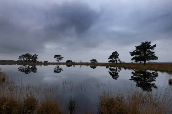 Hollanda Dwingelderveld Deki Turba Havuzu Holtveenslenk — Stok fotoğraf