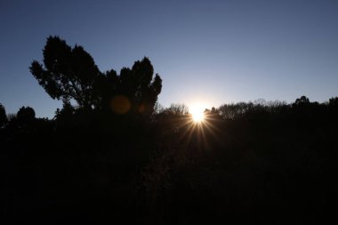 Hollanda, Dwingelderveld 'de gün batımı