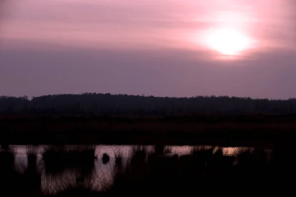 Basen Torfowy Trawami Dwingelderveld Holandia — Zdjęcie stockowe