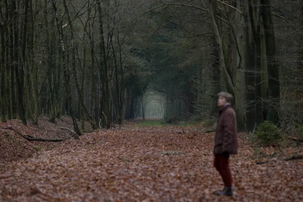 Wijster, Hollanda - 15 Aralık 2021: Yürüyüş