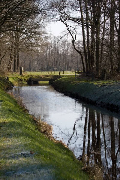 Vodní Tok Anloo Dwingelderveldu Nizozemsko — Stock fotografie