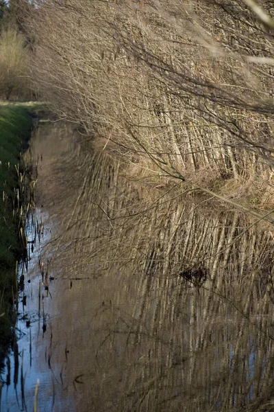 Ditch Boswachterij Ruinen Países Bajos — Fotografia de Stock