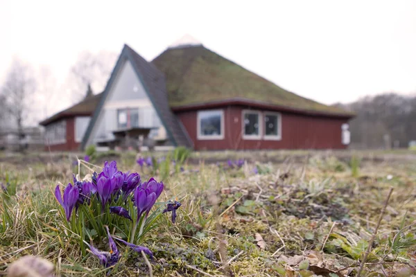 Ruinen Netherlands March 2022 Visitor Center Natuurmonumenten Ruinen Netherland — Stock Photo, Image