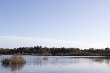 Hollanda, Dwingelderveld 'deki turba bataklık havuzu.