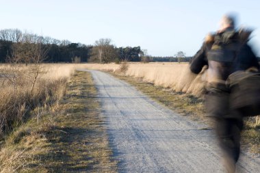 Dwingelderveld, Hollanda - 17 Mart 2022: Dwingelderveld, Hollanda 'da akşam yürüyüşü