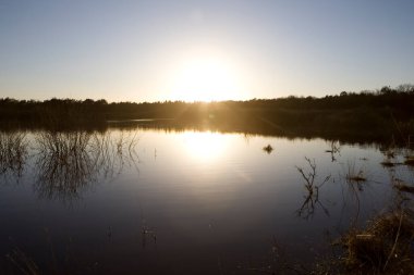 Akşamları Hollanda, Dwingelderveld 'deki turba bataklık havuzu.
