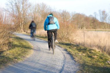 Dwingelderveld doğa koruma alanında bisikletçiler, Hollanda 