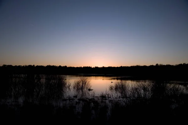 Торфяной Бассейн Вечером Двингельдервелде Нидерланды — стоковое фото