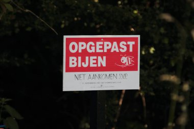 Hollanda, Veeningerplas... 12 Haziran 2022: Hollanda, Veeningerplas 'da arı çiftliği.