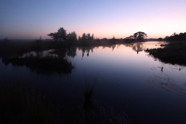 Hollanda, Dwingelderveld 'deki turba havuzunun gece fotoğrafı.