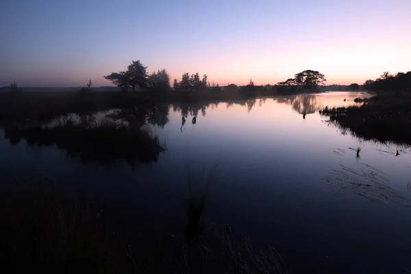 Nocne Zdjęcie Torfowiska Dwingelderveld Holandia — Zdjęcie stockowe