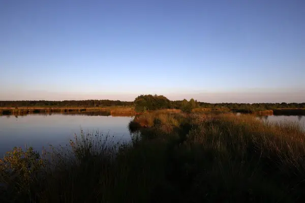 Hollanda Dwingelderveld Akşam Güneşinde Turba Havuzu — Stok fotoğraf